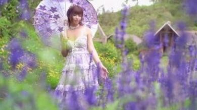 JasmineJ紫色花海的爱