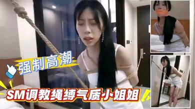 强制高潮SM调教绳缚气质小姐姐