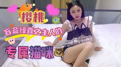 【宸荨樱桃】盲盒惊喜之主人的专属猫咪